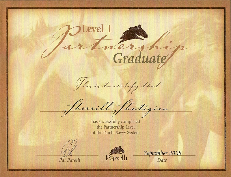 Level 1 Partnership Graduate certificate